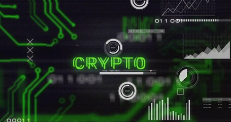 Poster - Digital graphs and data processing animation over green CRYPTO text