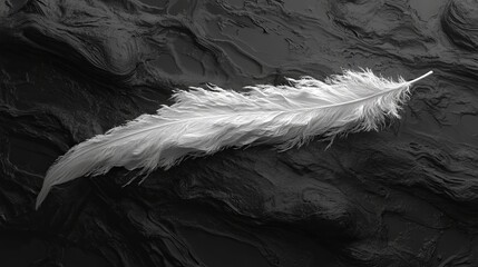 Poster - Elegant white feather rests on dark textured surface in serene natural composition