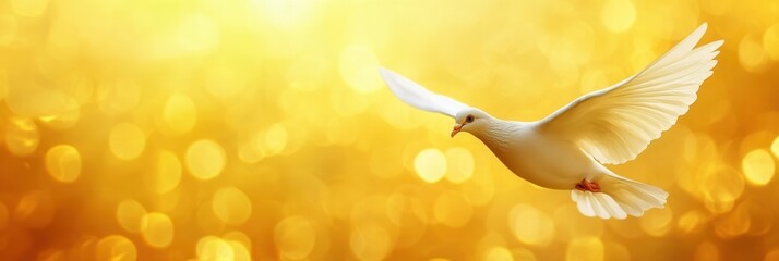 Leinwandbilder - Minimalist icon of a white dove in flight against a glowing sun with soft golden hues expressing serenity and hope