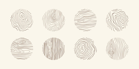 Wood tree pattern texture icon, trunk with annual circle line of age pictogram, set vector design
