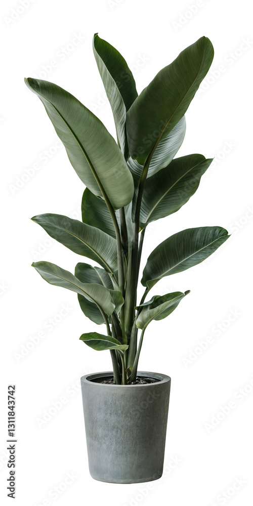 wisteria crochet pattern Crochet Wisteria Pattern PDF | Hanging Plant Decor | Boho Home