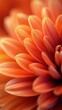 © Georg - Close-up view of vibrant orange flower petals displaying intricate textures and shapes under soft lighting
