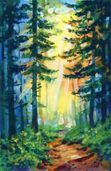 Wall Mural - path in the forest . forest background. tempera handdrawn illustration.