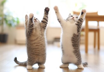 Poster - Two playful kittens standing on their hind legs with paws raised in a bright and cheerful indoor setting : Generative AI