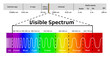 © designer_things - Spectrum wavelength. Visible spectrum color range. Educational physics light line. Light wave frequency. Wavelengths of the visible part of the spectrum for human eyes