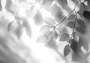 Aufkleber - Pure White Leaf Shadows on Soft Background Creating Calming Atmosphere and Perfect for Minimalist Aesthetics : Generative AI