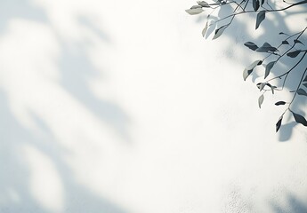 Poster - Minimalist White Wall with Shadow Play from Delicate Leaves for Natural Aesthetic : Generative AI