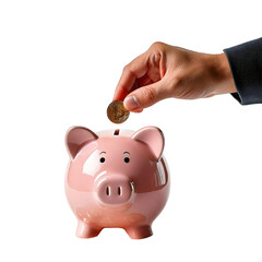 Wall Mural - hand putting coin in piggy bank
