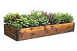 © Veronika - Elegant wooden planter box brimming with vibrant herbs and leafy greens in a sunny garden setting