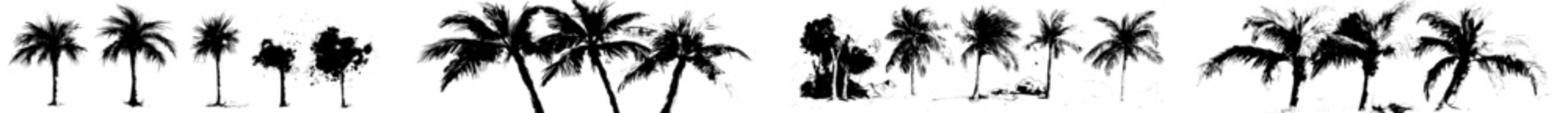 Wall Mural - a collection of watercolor palm trees in png format, featuring tropical palm trees on a transparent 