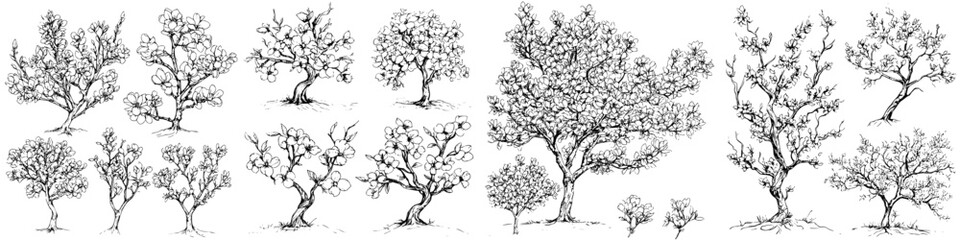 Poster - Collection of various tree sketches showcasing different species and growth shapes in a simple black and white style