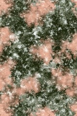 Poster - Abstract artistic splash blend featuring salmon green and neutral tints