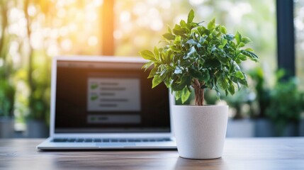 Poster - A lush green plant nestled on top of a laptop creating a unique blend of nature and technology in a work environment