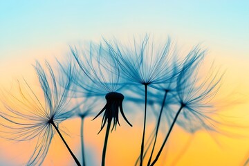 Aufkleber - Silhouette of dandelion seed heads against a colorful sky at sunset offering a serene visual : Generative AI