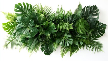 Poster - Vibrant Tropical Greenery Arrangement Showcasing a Variety of Lush Plants and Foliage : Generative AI