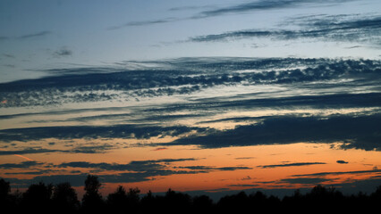 Wall Mural - summer sky sunset over forest. nature, sky with clouds and trees.