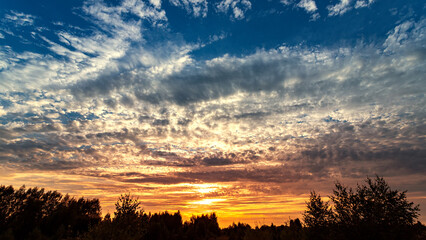 Wall Mural - summer sky sunset over forest. nature, sky with clouds and trees.
