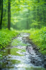 Poster - rain boot tracks on muddy path winding through green garden illuminated by soft overcast light