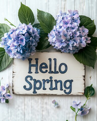  Celebrate the arrival of spring with lovely hydrangeas in full bloom