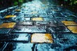 © Enrique - Close-up view of a rain-soaked pavement glistening under the light, showcasing the rich textures and colors of wet stones during a tranquil evening