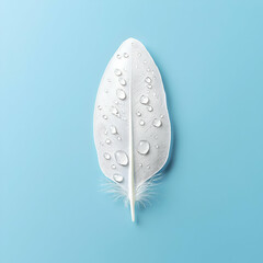 Poster - Elegant White Feather with Dew Drops on Soft Blue Background