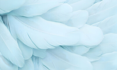 Poster - Soft Blue Feathers Layered for a Tranquil Aesthetic Background
