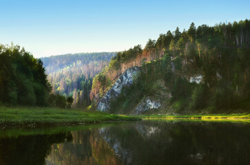 Wall Mural - the rocky riverbank is covered with a lush forest.