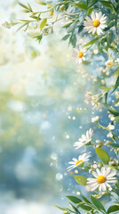 Aufkleber - Delicate white daisies blossoming against soft-focus background, generating ethereal light bokeh with gentle, romantic mood
