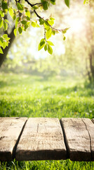 Aufkleber - Empty wooden table with blurred spring background featuring fresh green leaves illuminated by warm sunlight