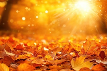 Poster - Fallen leaves creating a vibrant carpet in a sun-drenched park during the beautiful autumn season
