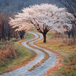 © 자인 김 - rural cherry blossom path