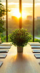 Poster - Potted greenery resting on conference room table, bathed in golden sunset glow filtering through glass pane