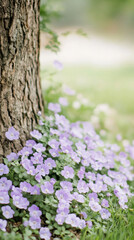 Aufkleber - Vibrant purple blossoms nestling against weathered tree bark, illuminating lush forest floor during springtime sunlight