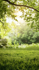 Poster - Green grass in the foreground with sunlight filtering through leaves in a peaceful blurred forest in the background