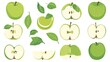 © itol - Assorted green apple slices and leaves illustration