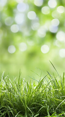 Poster - Verdant grass blades sparkling with dew, basking in soft morning sunlight and delicate bokeh background
