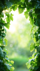 Aufkleber - Golden sunlight streaming through verdant foliage, casting soft radiance and peaceful woodland atmosphere