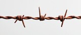 Rusty barbed wire fence detail