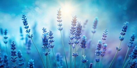 blue cyanotype of lavender flowers with delicate silhouettes on a soft blue background, capturing th