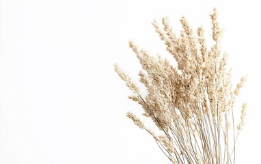 Aufkleber - Charming bouquet of dried golden grasses arranged beautifully against a soft white backdrop : Generative AI