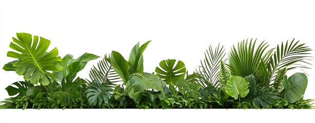 Poster - Tropical Greenery Border on White Background for Luxury Home and Interior Design : Generative AI