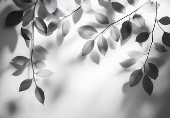 Poster - Beautiful shadows of elegant leaves creating depth on a clean white background : Generative AI