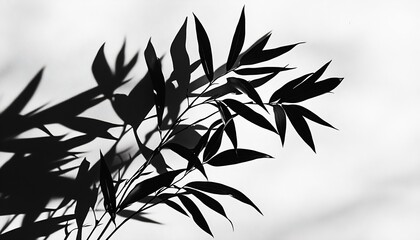 Poster - Artistic shadows of delicate bamboo leaves displaying intricate patterns on a soft backdrop : Generative AI
