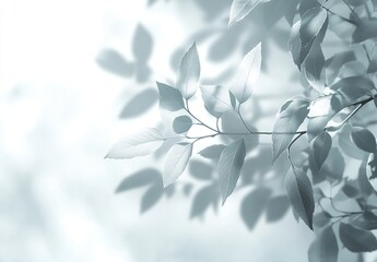 Poster - Delicate Black and White Leaf Silhouette Against a Soft Light Background : Generative AI