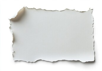 Poster - Roughly torn edge of smooth white paper contrasting with soft shadows and bright light for a minimalist touch : Generative AI