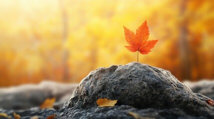 Poster - Leaf resting on a rock in nature signifying mindful moments and connection to the earth through simple observations