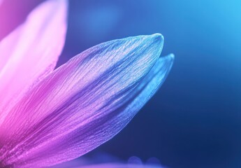 Poster - Close-Up View of Delicate Flower Petal with Soft Gradient Colors of Pink and Blue Creating an Ethereal and Dreamy Aesthetic in Nature Photography
