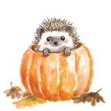 Adorable Hedgehog Sitting Inside a Pumpkin with Fall Leaves