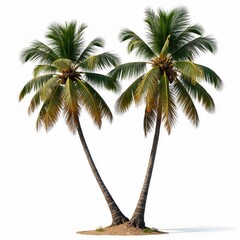 Poster - Two coconut palm trees isolated on white background. Tropical island vacation concept. Green palm leaves, blue sky backdrop. Summer holiday banner, exotic paradise, beach scene. Travel destination