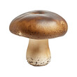© Food and Drink - brown shiitake mushroom on white background isolated